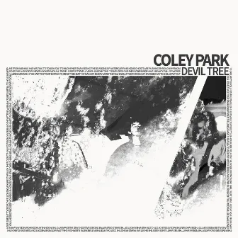 Hidden Stars by Coley Park