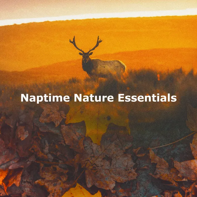 Naptime Nature Essentials