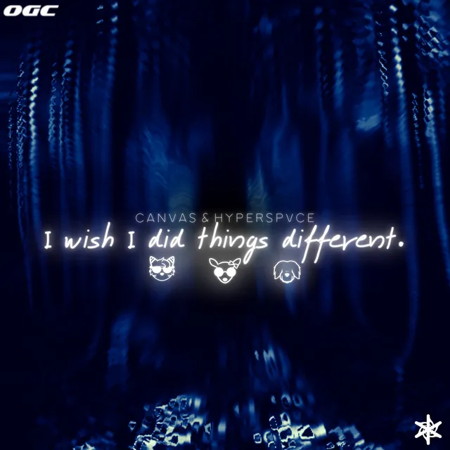 I wish I did things different.