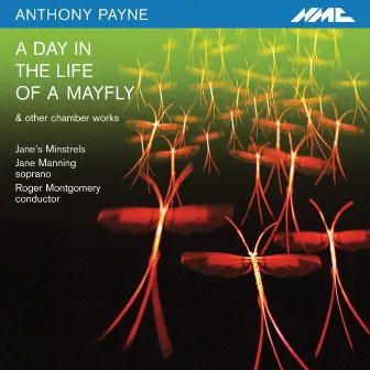 A Day in the Life of a Mayfly by Roger Montgomery