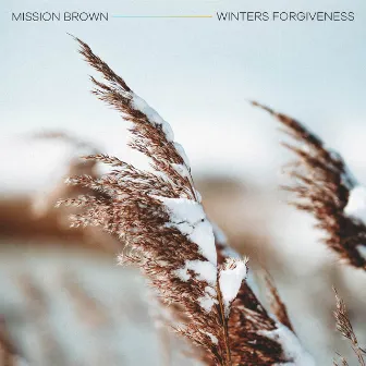 Winters Forgiveness by Mission Brown