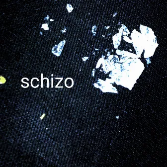 Schizo by TEARSEEKS