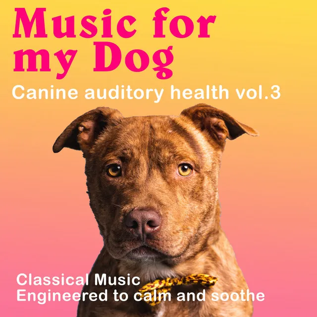 Background Music For Dogs