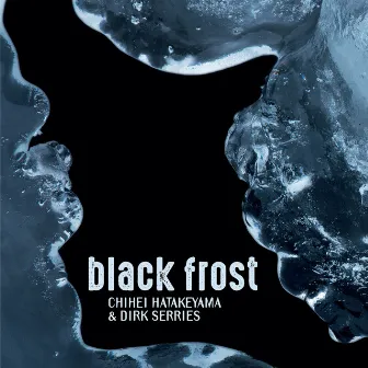 Black Frost by Dirk Serries