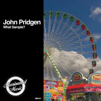 What Sample? by John Pridgen