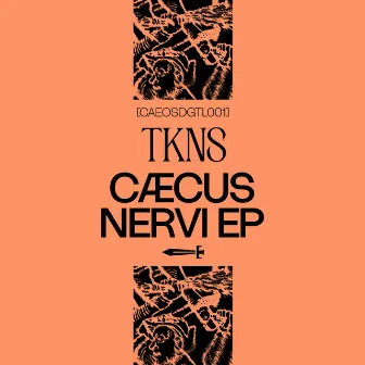 Caecus Nervi by TKNS