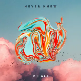 Never Knew by Vulora