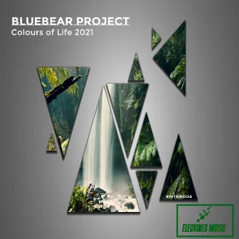 Colours of Life 2021 by Bluebear Project