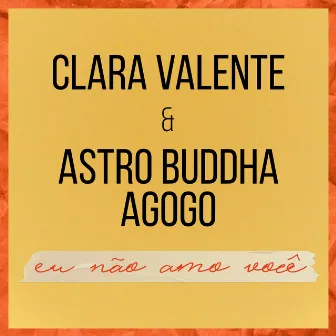 Eu Não Amo Você by Clara Valente