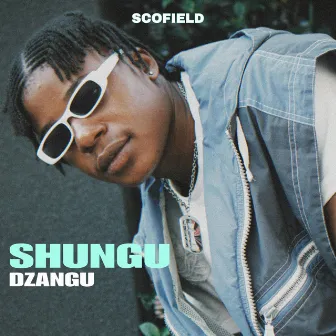 shungu dzangu by Scofield nash