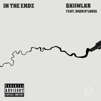 In The Endz (Radio Edit) by Skiiwlkr