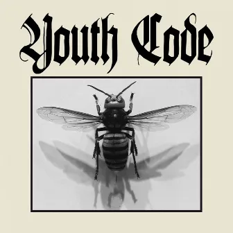 Anagnorisis by Youth Code