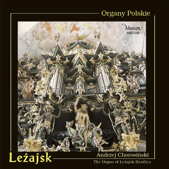 Organy Polskie. Leżajsk (Instrumentalna) by Andrzej Chorosiński