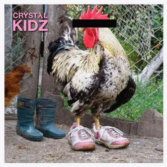 Quest (feat. Sexy Sex) by CRYSTAL KIDZ