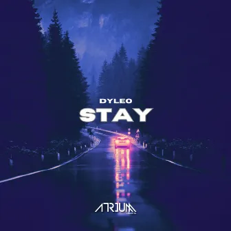 Stay by DYLEO