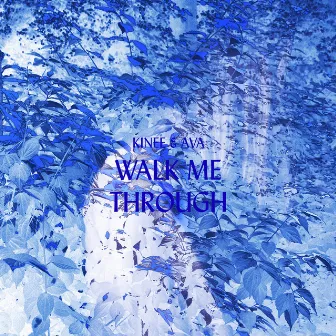 Walk Me Through by Kinee