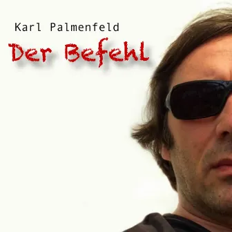 Der Befehl by Karl Palmenfeld