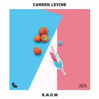 K.N.O.W by Camden Levine