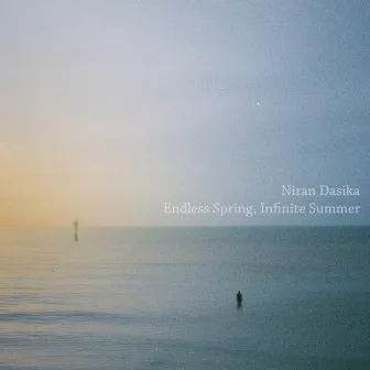 Endless Spring, Infinite Summer by Niran Dasika