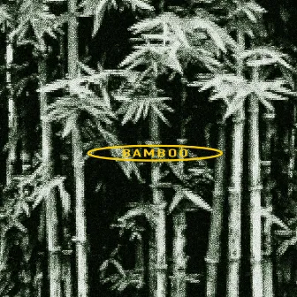 BAMBOO by made by ok!