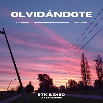 Olvidándote by Tesh Music