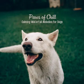 Paws of Chill: Calming Waterfall Melodies for Dogs by Dog's Music