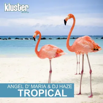 Tropical by DJ Haze