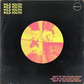 Next To You (ROMES Remix) by Wild Youth