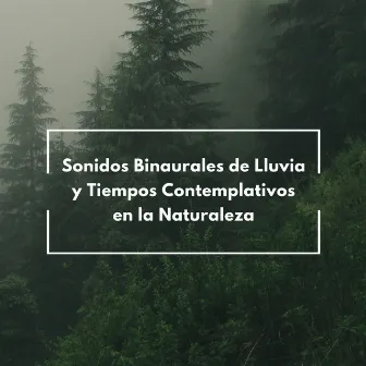 Sonidos Binaurales De Lluvia Y Tiempos Contemplativos En La Naturaleza by Ritmos binaurales Estudiar música