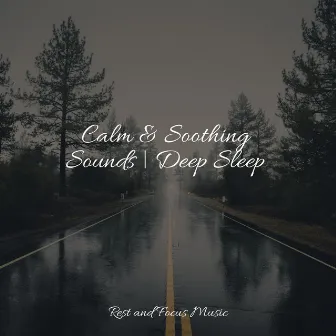 Calm & Soothing Sounds | Deep Sleep by Childrens Music