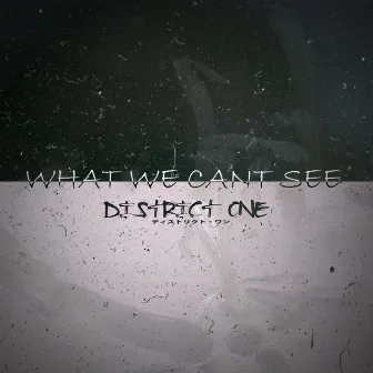 What We Can't See by District One