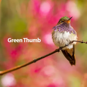 Green Thumb by Calm Bird Sounds