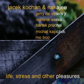 Life, Stress And Other Pleasures by Jacek Kochan