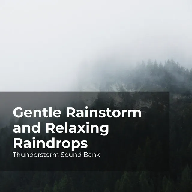 Gentle Rainstorm and Relaxing Raindrops