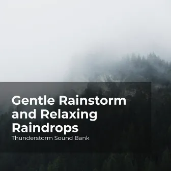 Gentle Rainstorm and Relaxing Raindrops by Sounds of Thunderstorms & Rain