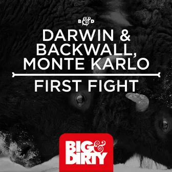 First Fight by Monte Karlo