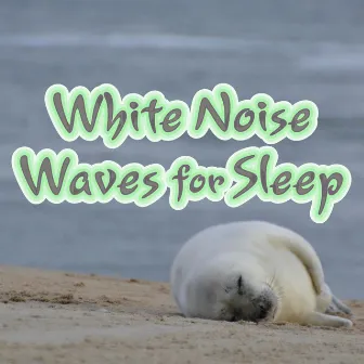 White Noise Waves for Sleep by Ocean Waves for Babies