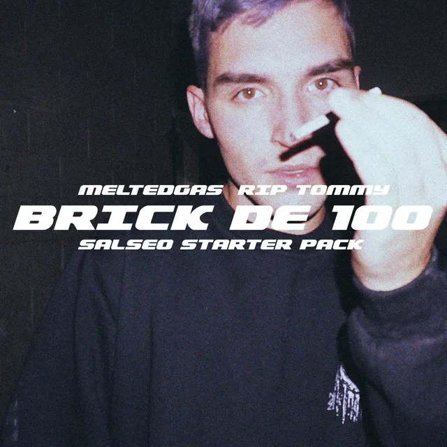 Brick de 100