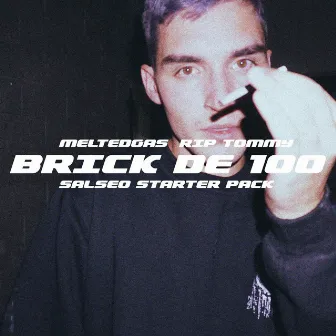 Brick de 100 by Meltedgas