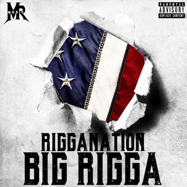 RIGGANATION