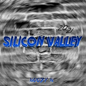 Silicon Valley 2021 by Woozy W