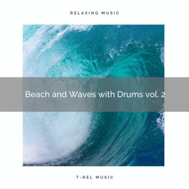 ! ! ! ! ! ! Beach and Waves with Drums vol. 2