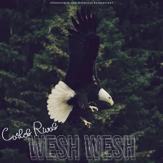 WESH WESH by Carlos Rivas