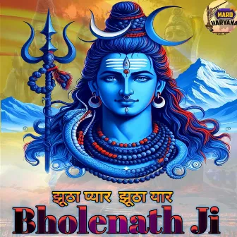 Bholenath Ji by Binder Berwal