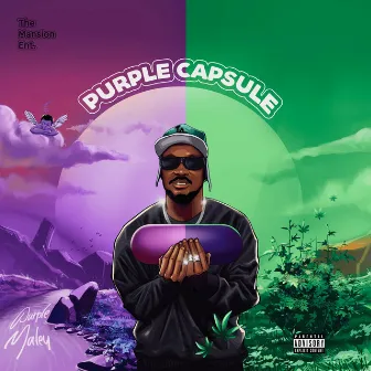 Purple Capsule by Purple Maley