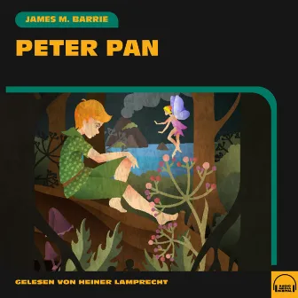 Peter Pan by Unknown Artist