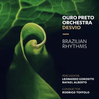 Brazilian Rhythms by Maestro Rodrigo Toffolo