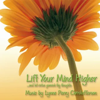 Lift Your Mind Higher by Lynne Perry Christofferson