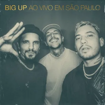 Ao Vivo Em São Paulo by Big Up