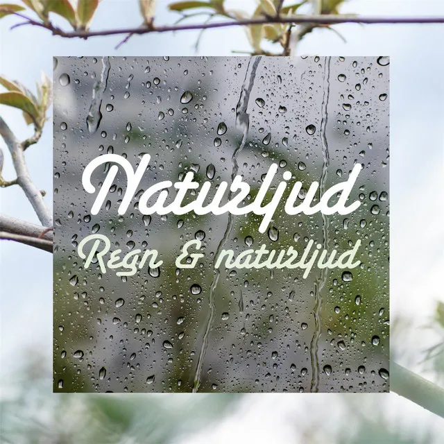 Regn & naturljud